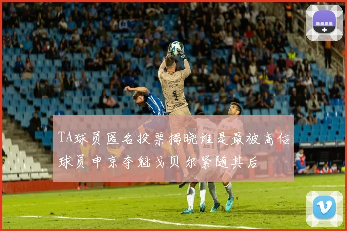 TA球员匿名投票揭晓谁是最被高估球员申京夺魁戈贝尔紧随其后